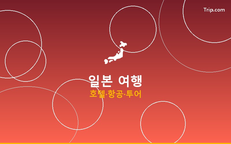 일본 VIP 전용 특가