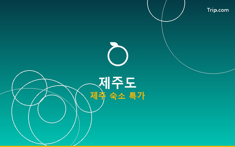 제주도 호텔 할인