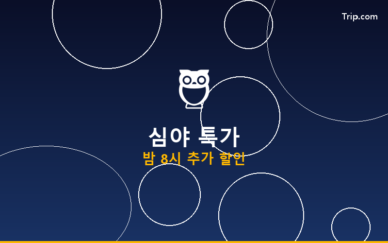 트립닷컴 나이트 올 특가