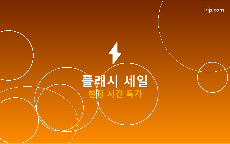 트립닷컴 플래시 세일