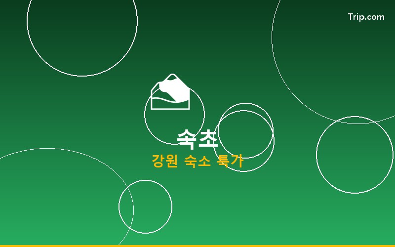 속초 호텔 할인