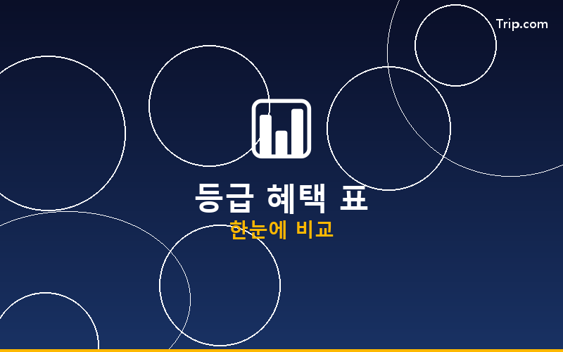 트립닷컴 회원등급 혜택 표