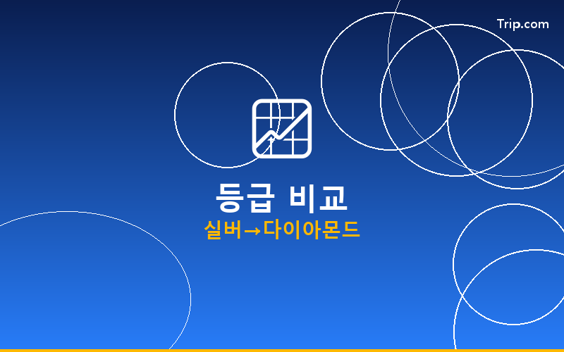 트립닷컴 회원등급 등급 비교